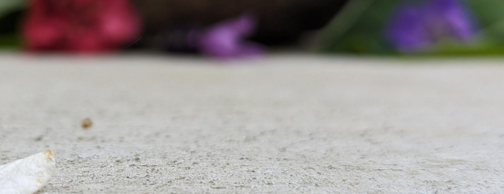 sustainable pavement